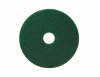 TASKI - Круг Americo, 17 дюймов (43 см), зеленый (умеренно агрессивная чистка) 5959771
