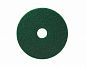 TASKI - Круг Americo, 20 дюймов (51 см), зеленый (умеренно агрессивная чистка) 5959798 1