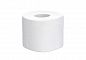 5071518 Туалетная бумага Focus Economic Choice в стандартных рулонах двухслойная, 96 рулонов по 15 метров 1
