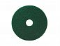 TASKI - Круг Americo, 13 дюймов (33 см), зеленый (умеренно агрессивная чистка) 5959747 1